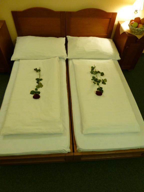Hotel Korunni Princ Turnov Zewnętrze zdjęcie